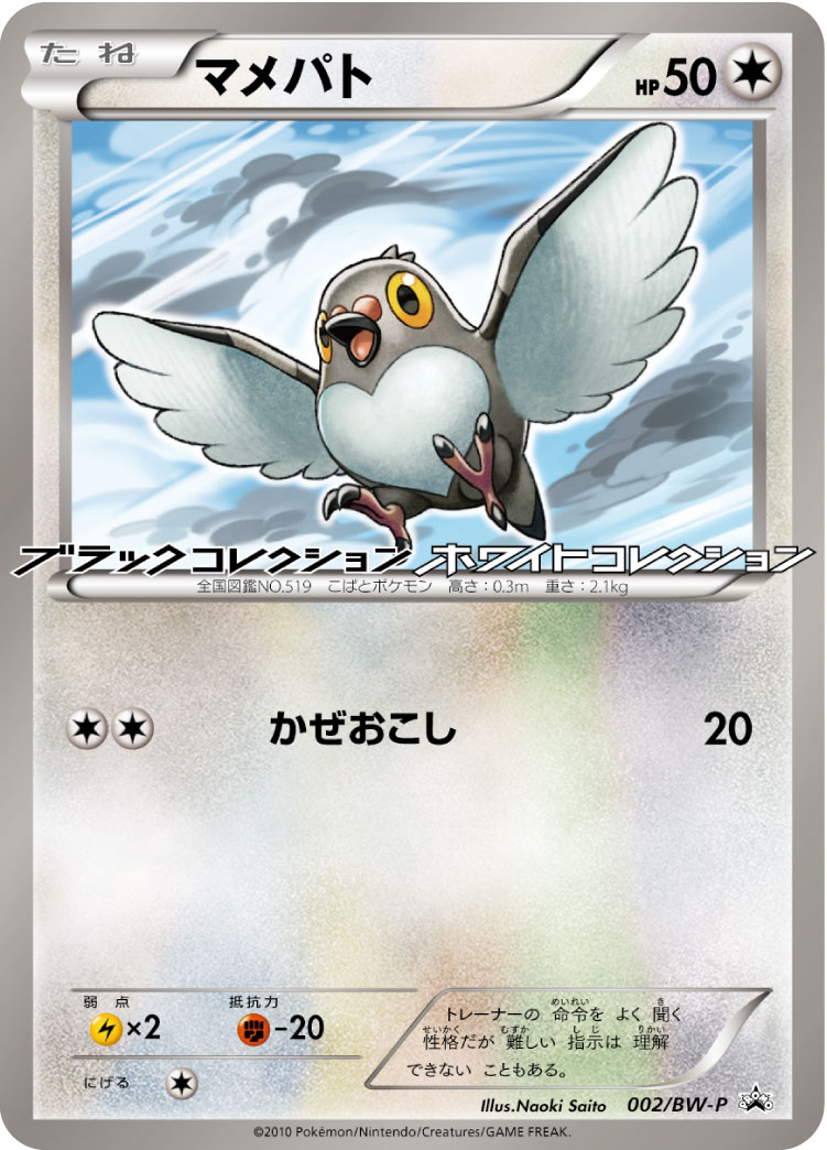 マメパト