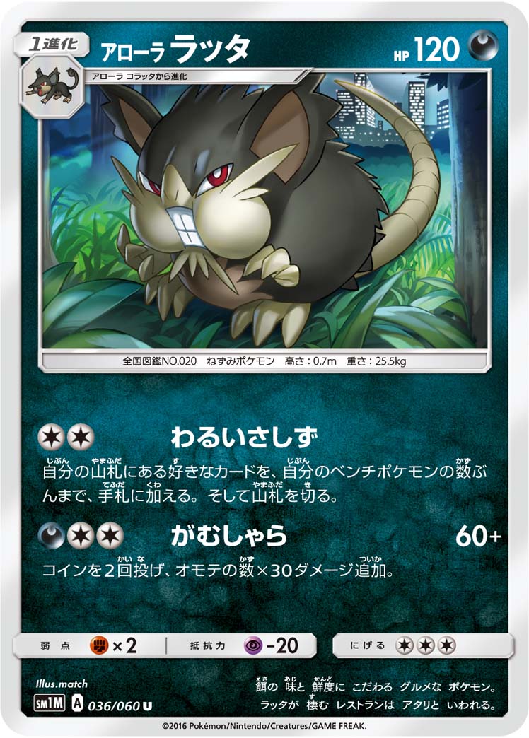 Alolan Raticate — SM1M: Collection Moon #036/060