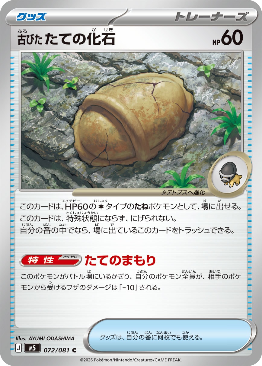 Antique Armor Fossil