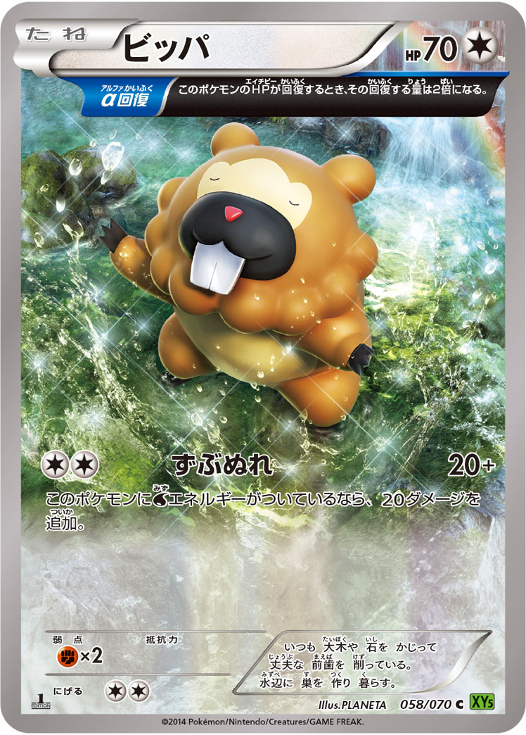 Bidoof — XY5-Bt: Tidal Storm #058/070