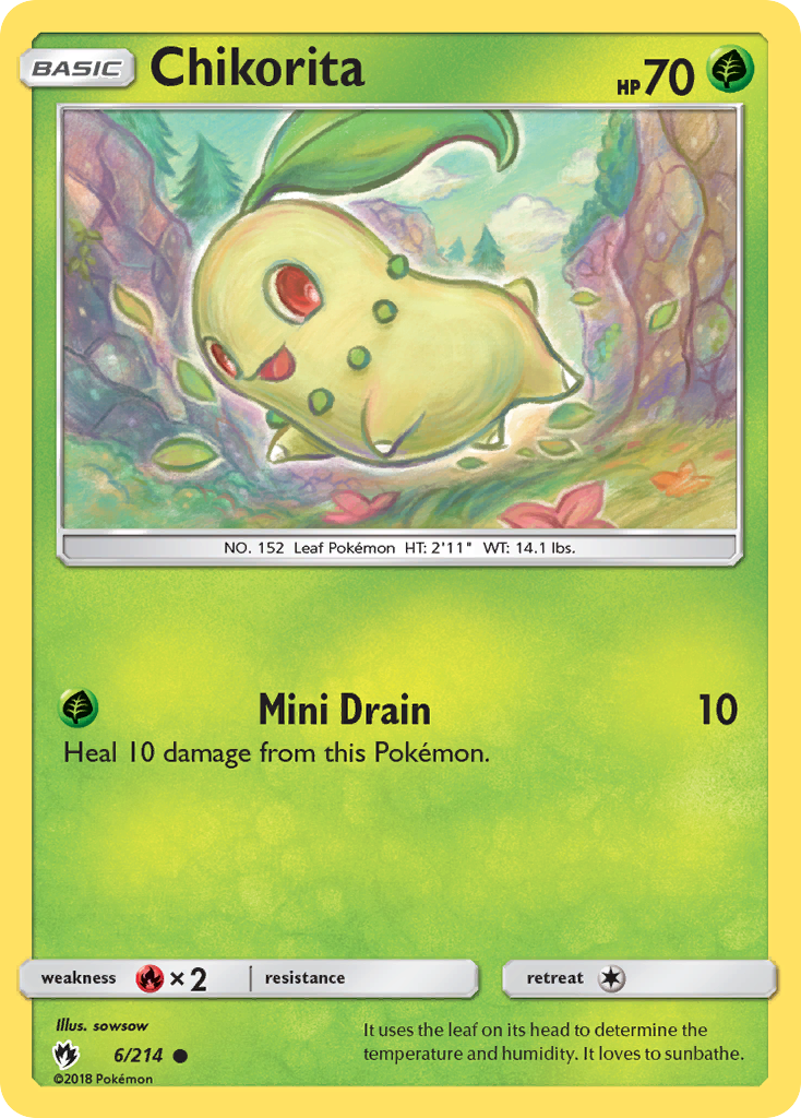 Chikorita (6)