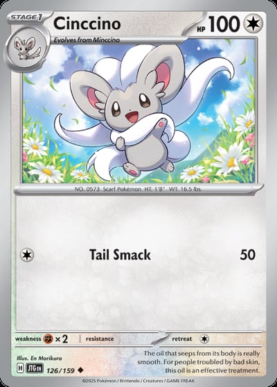 Cinccino