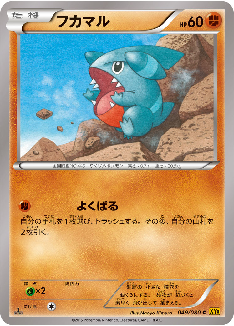 Gible — XY9: Rage of the Broken Heavens #049/080