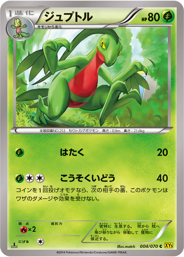 Grovyle — XY5-Bg: Gaia Volcano #004/070