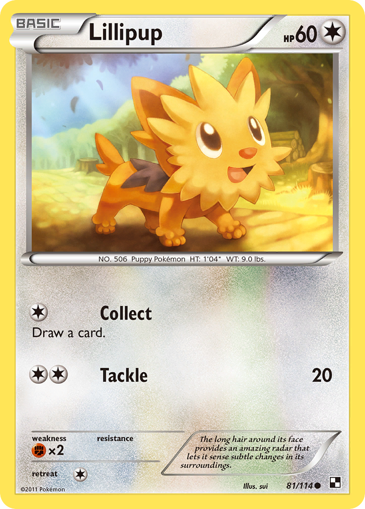 Lillipup (81)