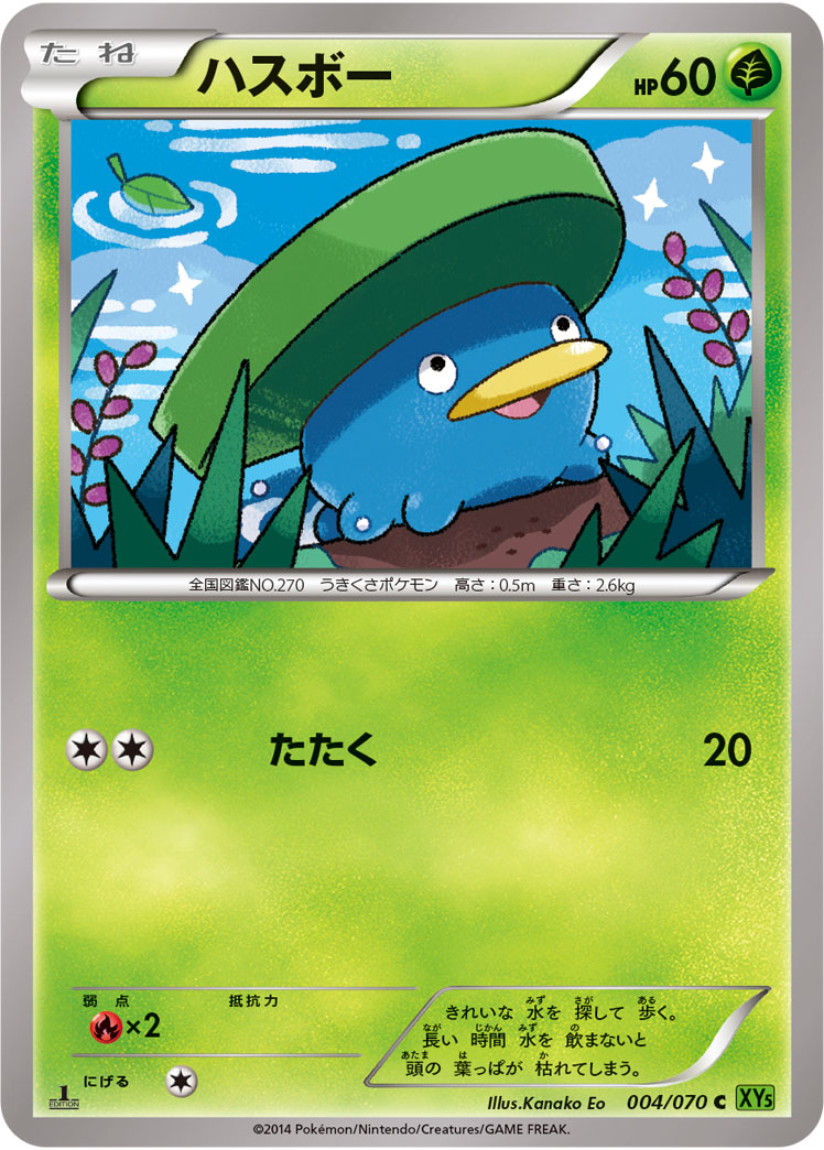 Lotad — XY5-Bt: Tidal Storm #004/070