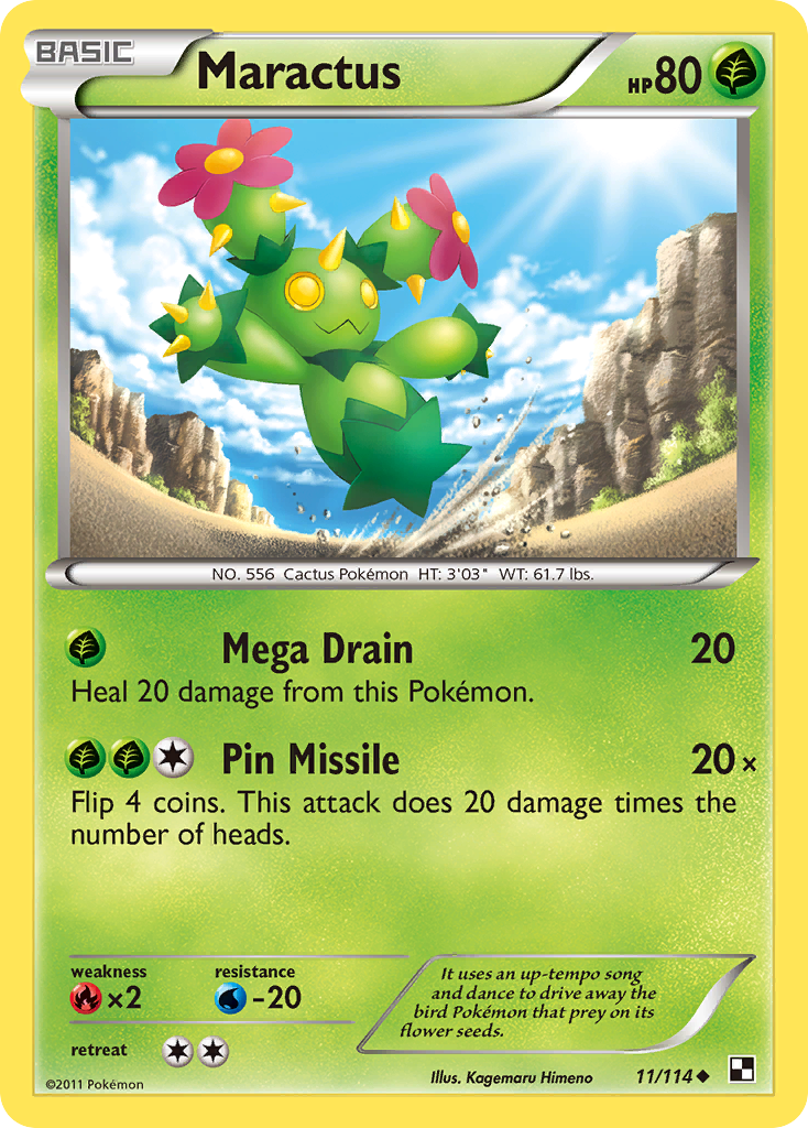 Maractus (11)