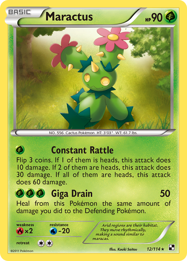 Maractus (12)