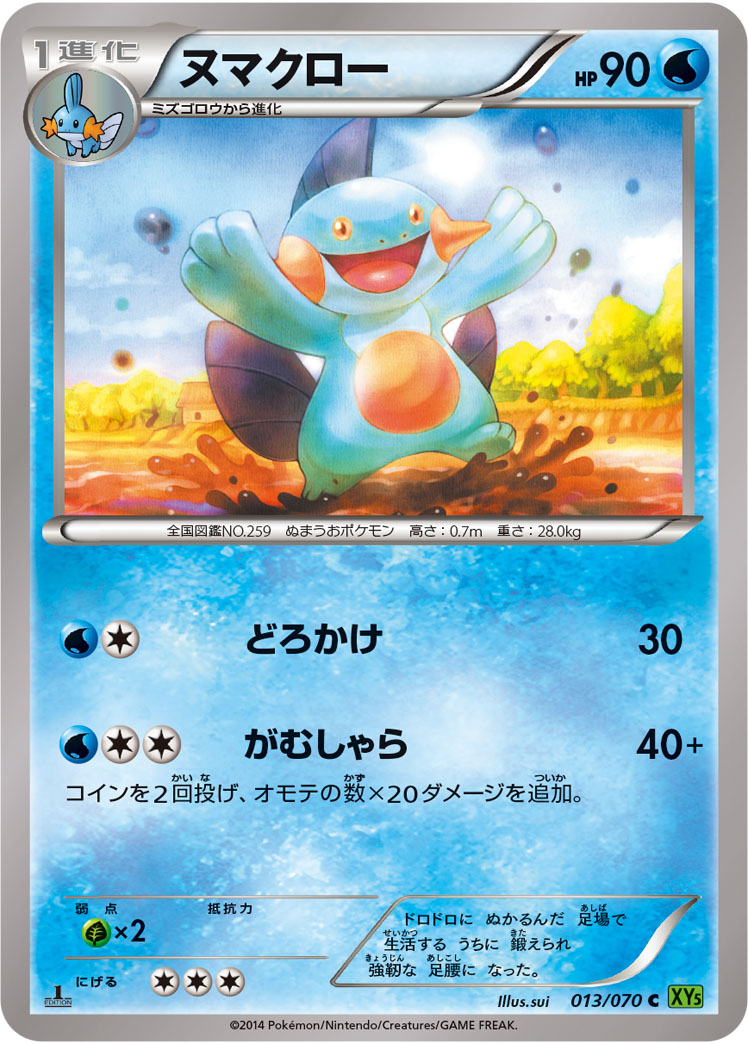 Marshtomp — XY5-Bt: Tidal Storm #013/070