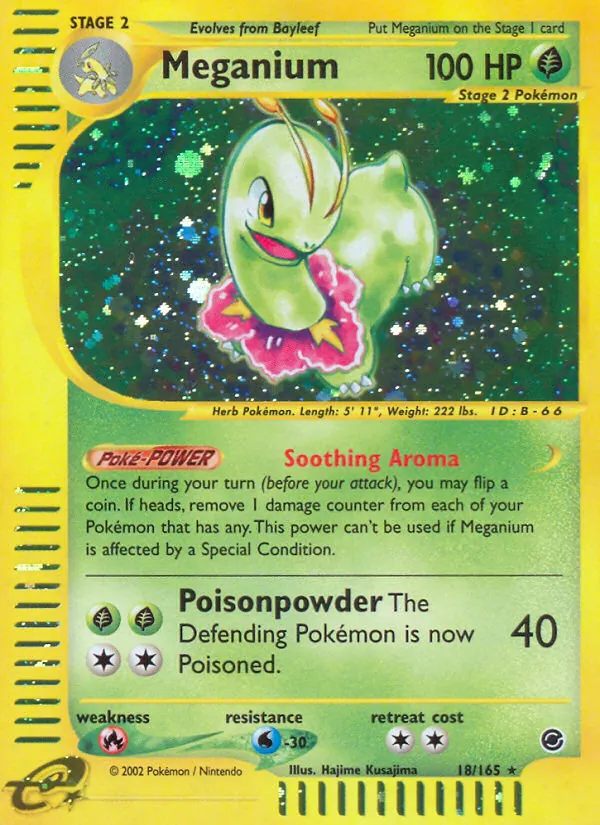 Meganium (18)
