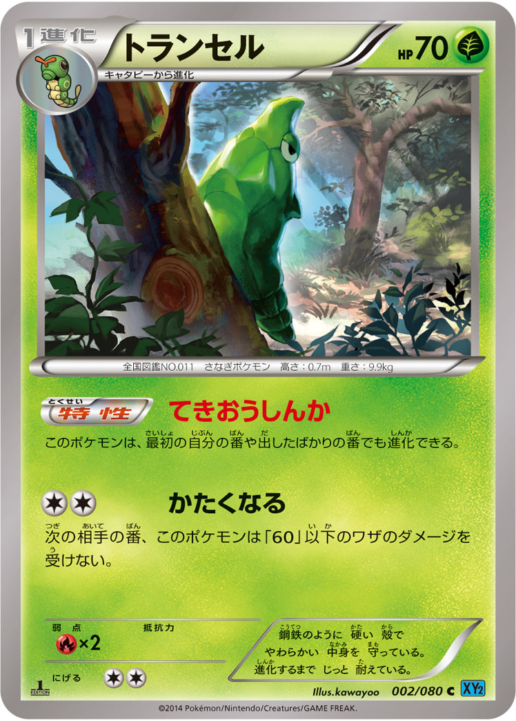 Metapod — XY2: Wild Blaze #002/080