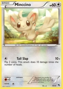 Minccino (#19) — BW Trainer Kit: Excadrill & Zoroark #19/30