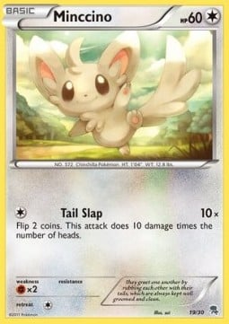 Minccino (#19)