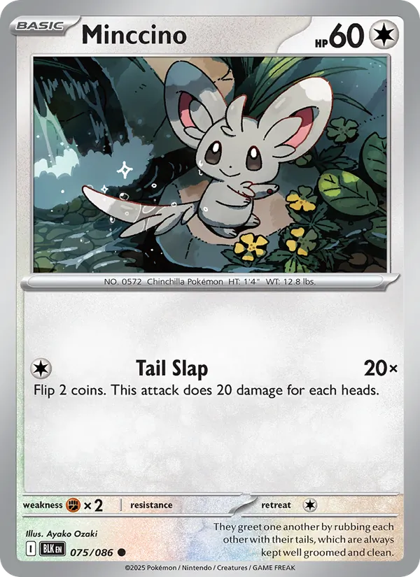 Minccino (Poke Ball Pattern) — SV: Black Bolt #075/086