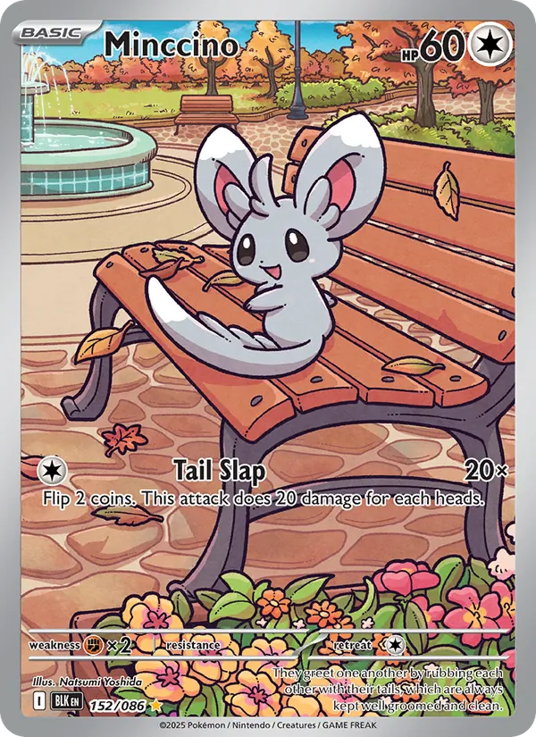 Minccino — SV: Black Bolt #152/086