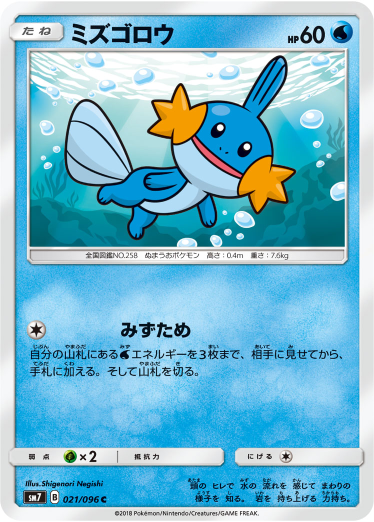 Mudkip