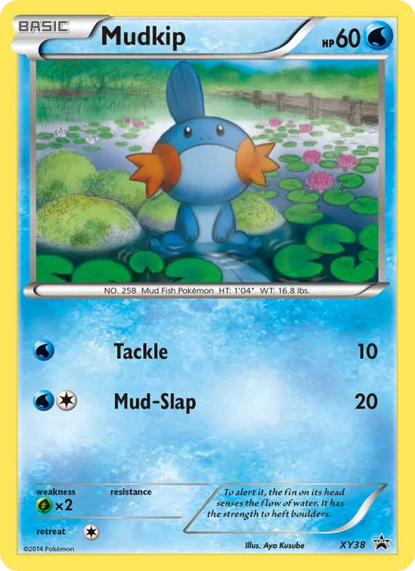 Mudkip — XY Promos #XY38