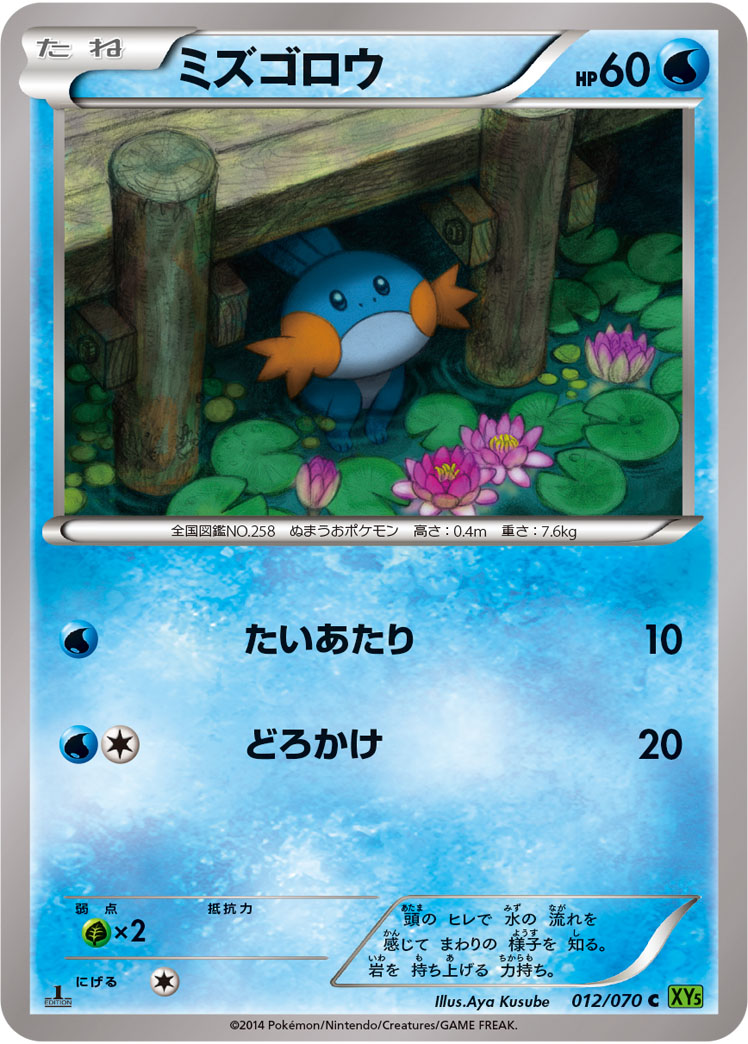 Mudkip — XY5-Bt: Tidal Storm #012/070