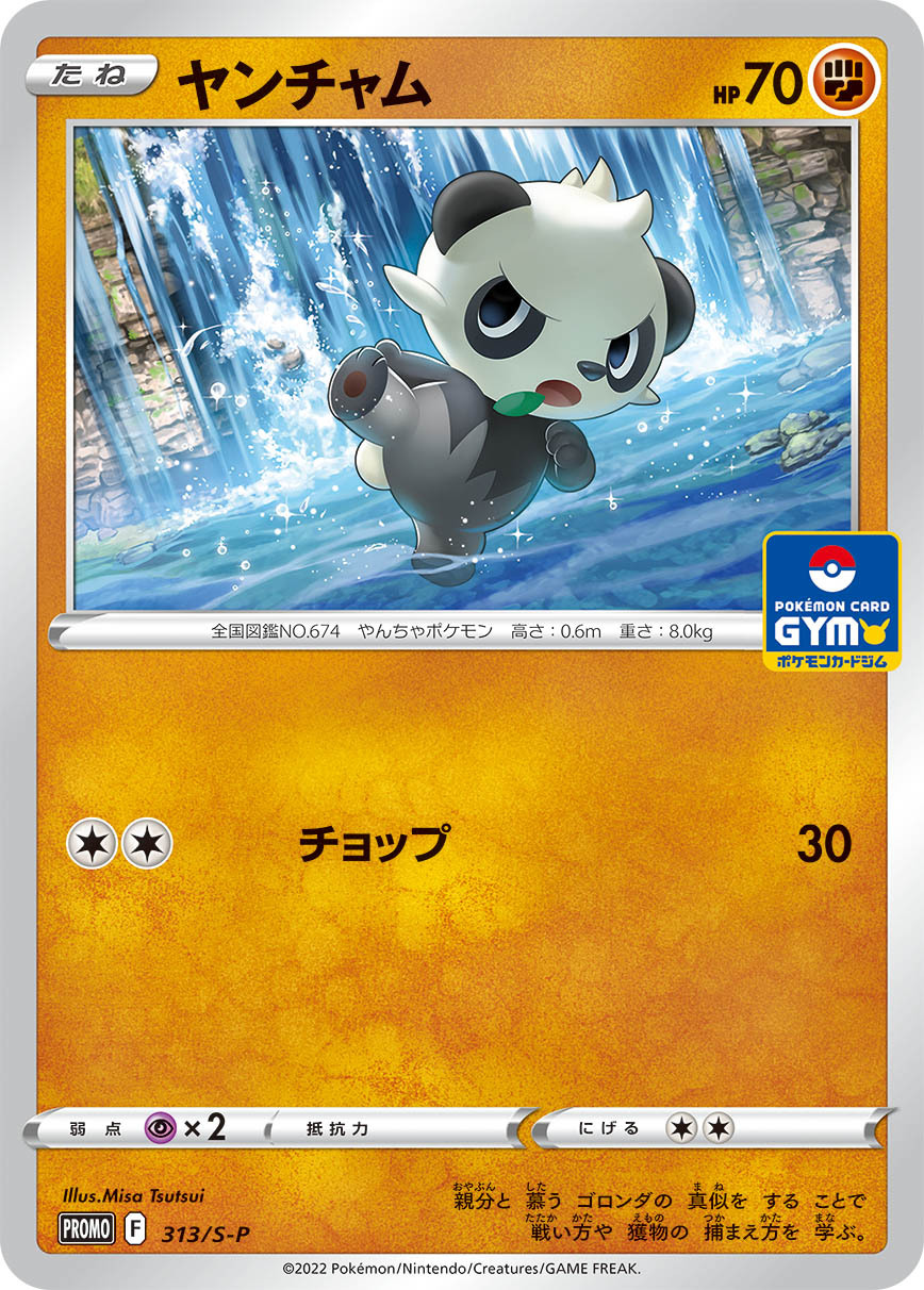 Pancham — S-P: Sword & Shield Promos #313/S-P