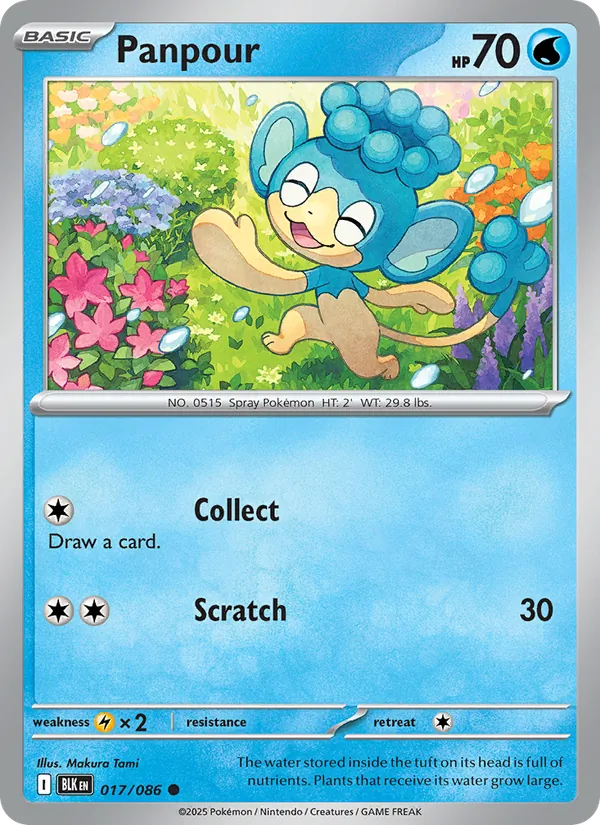 Panpour (Master Ball Pattern)