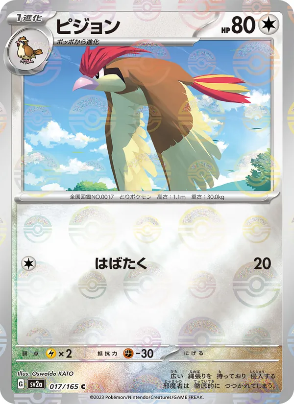 Pidgeotto (Master Ball Pattern)
