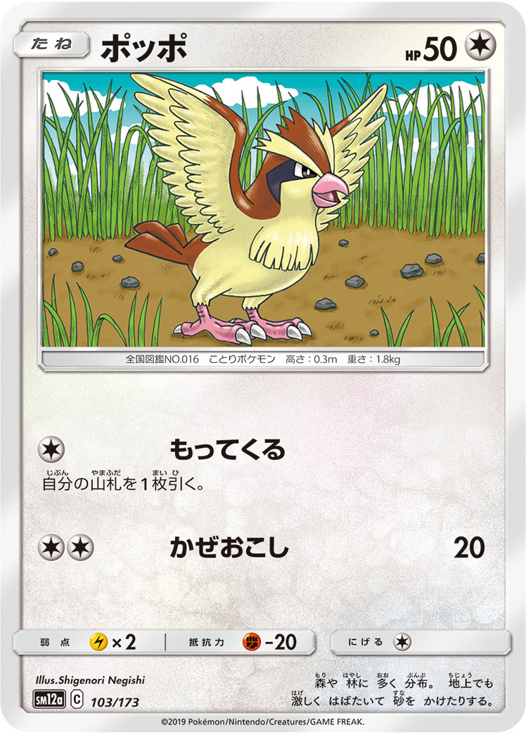 Pidgey
