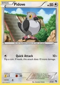 Pidove (#21)
