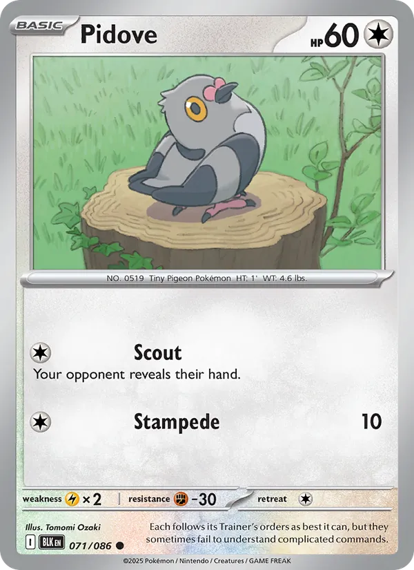Pidove (Poke Ball Pattern)
