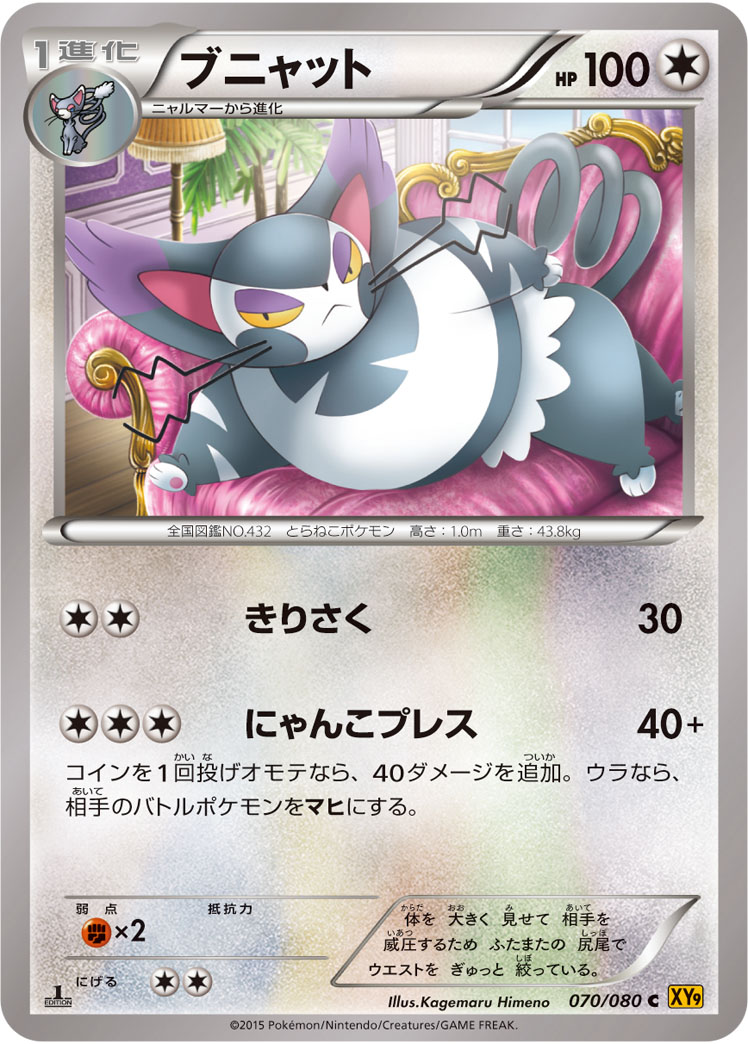 Purugly — XY9: Rage of the Broken Heavens #070/080