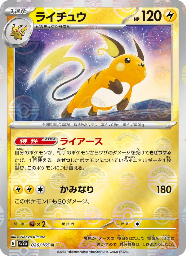 Raichu (Master Ball Pattern)