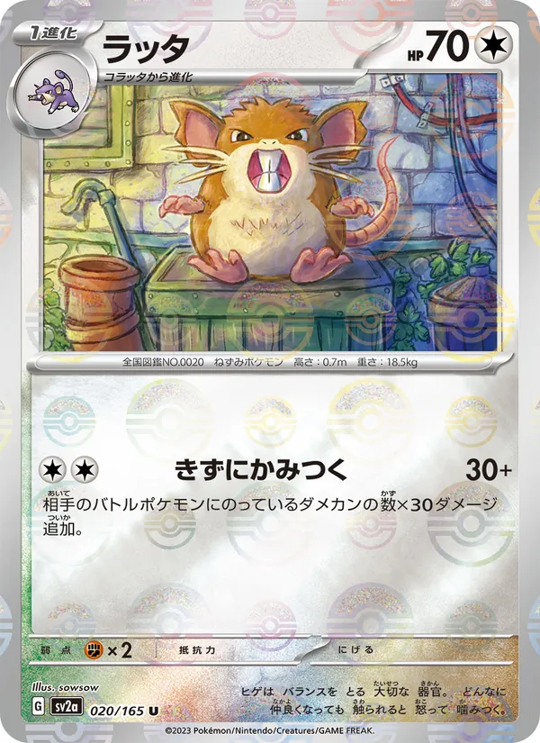 Raticate (Master Ball Pattern)