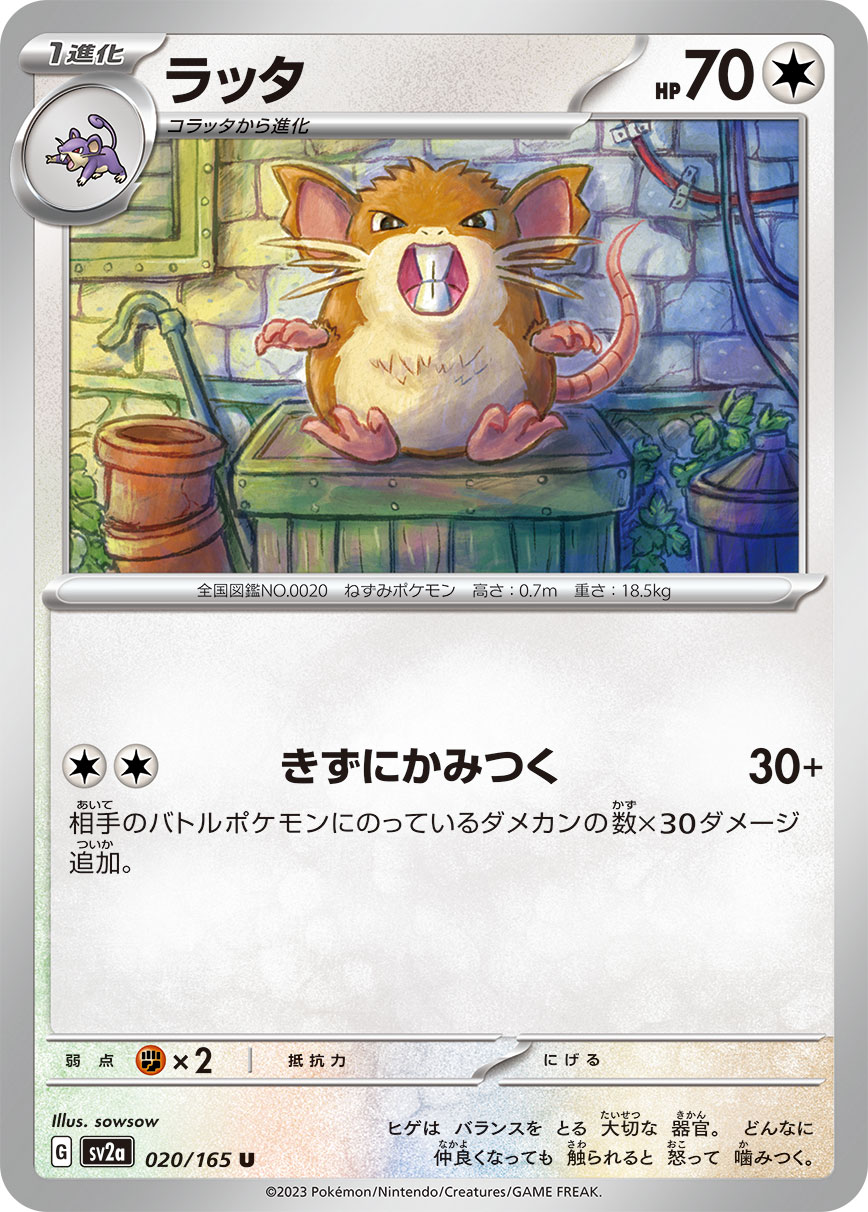 Raticate — SV2a: Pokemon Card 151 #020/165