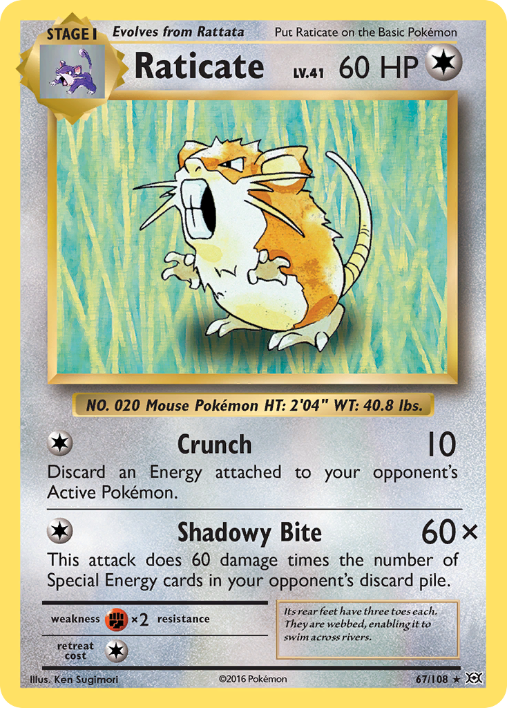 Raticate — XY - Evolutions #67/108