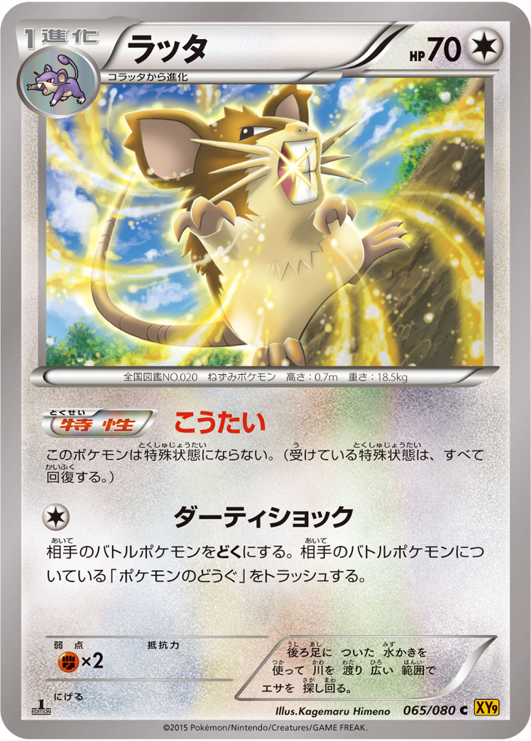 Raticate — XY9: Rage of the Broken Heavens #065/080