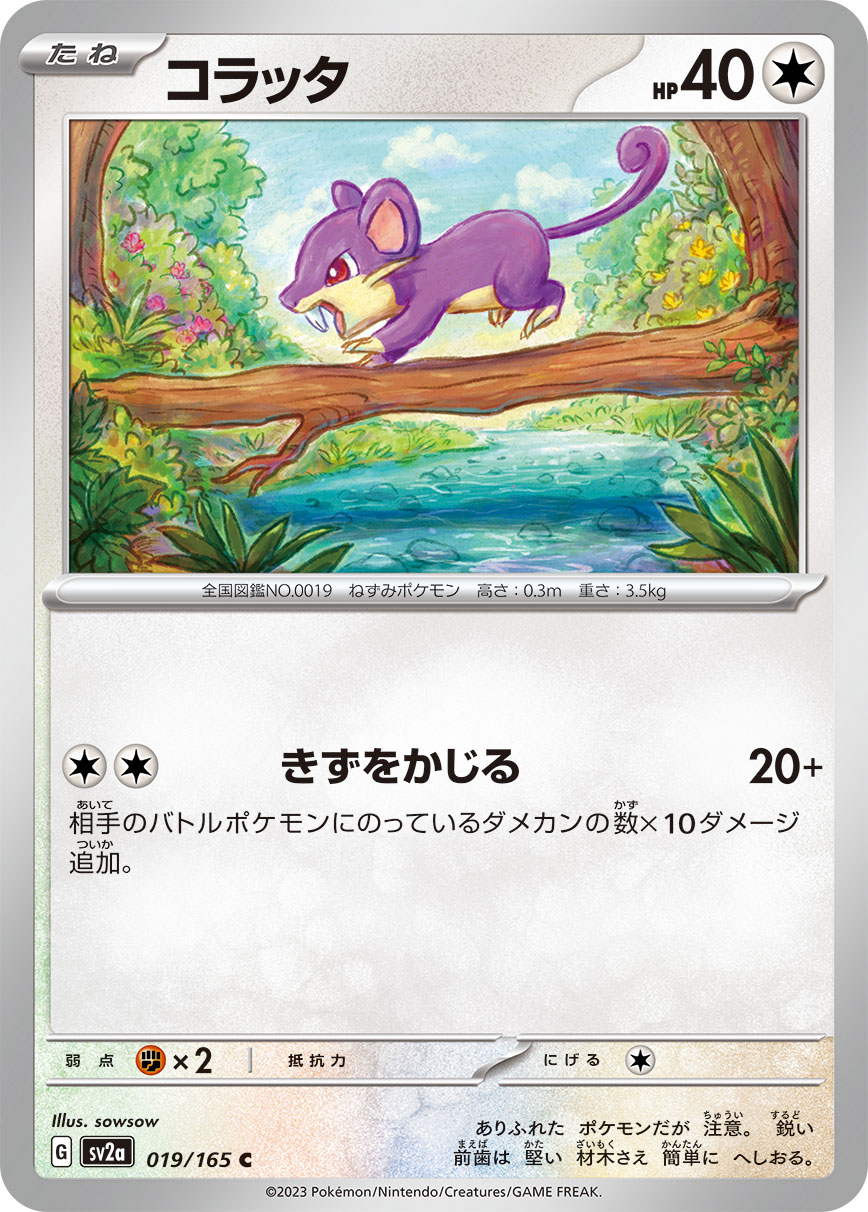 Rattata — SV2a: Pokemon Card 151 #019/165