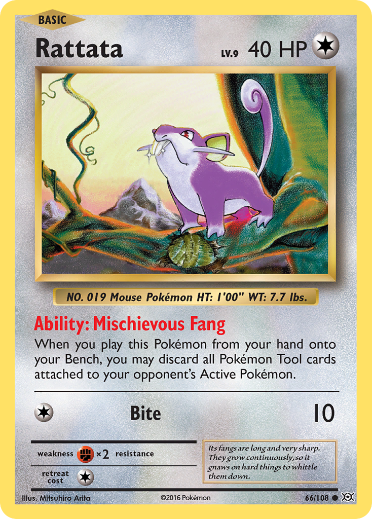 Rattata — XY - Evolutions #66/108