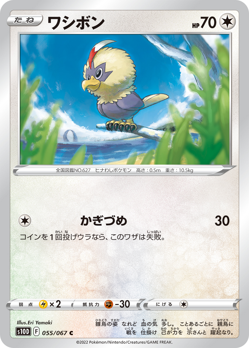 Rufflet — S10D: Time Gazer #055/067