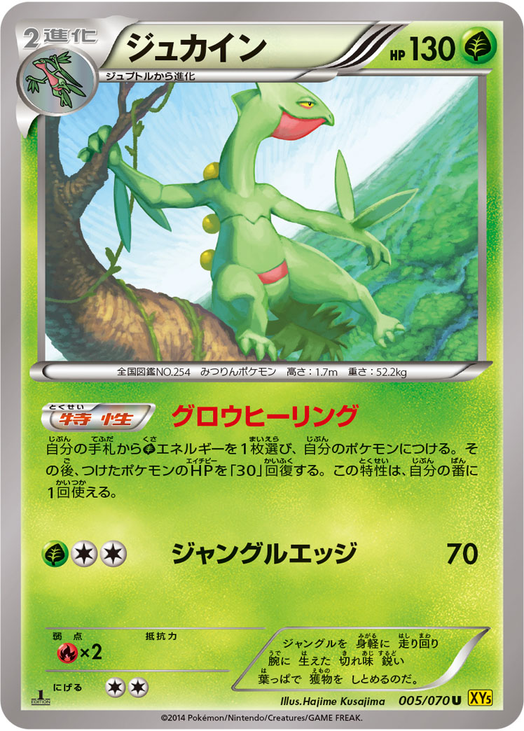 Sceptile — XY5-Bg: Gaia Volcano #005/070