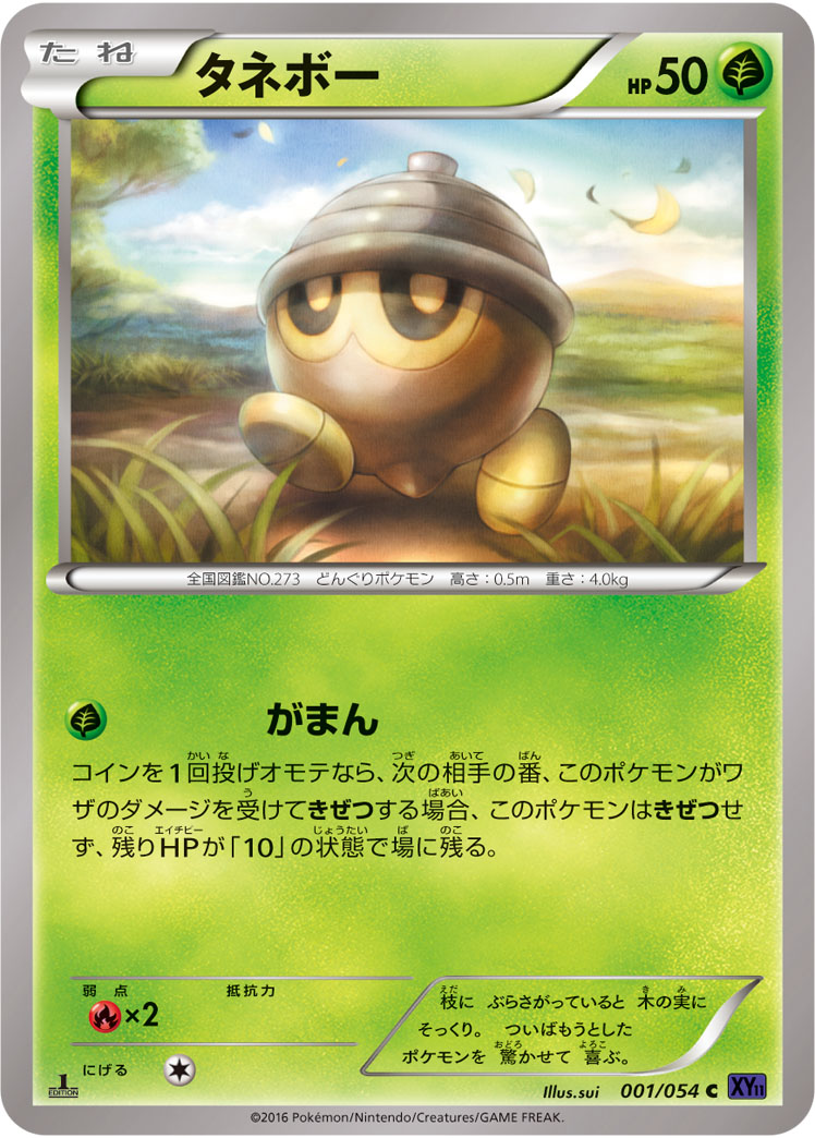 Seedot — XY11-Bb: Fever-Burst Fighter #001/054