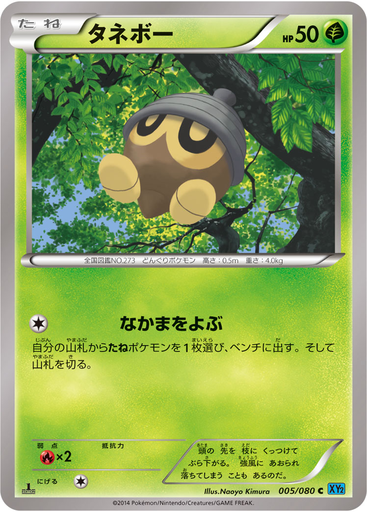 Seedot — XY2: Wild Blaze #005/080