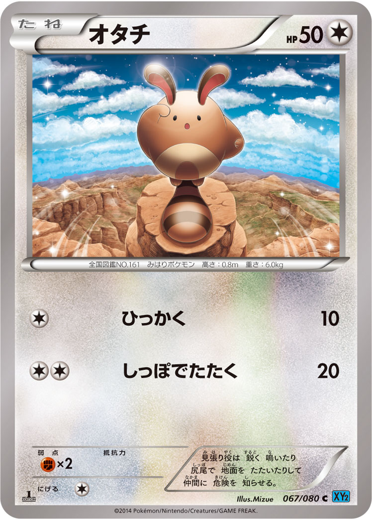 Sentret — XY2: Wild Blaze #067/080