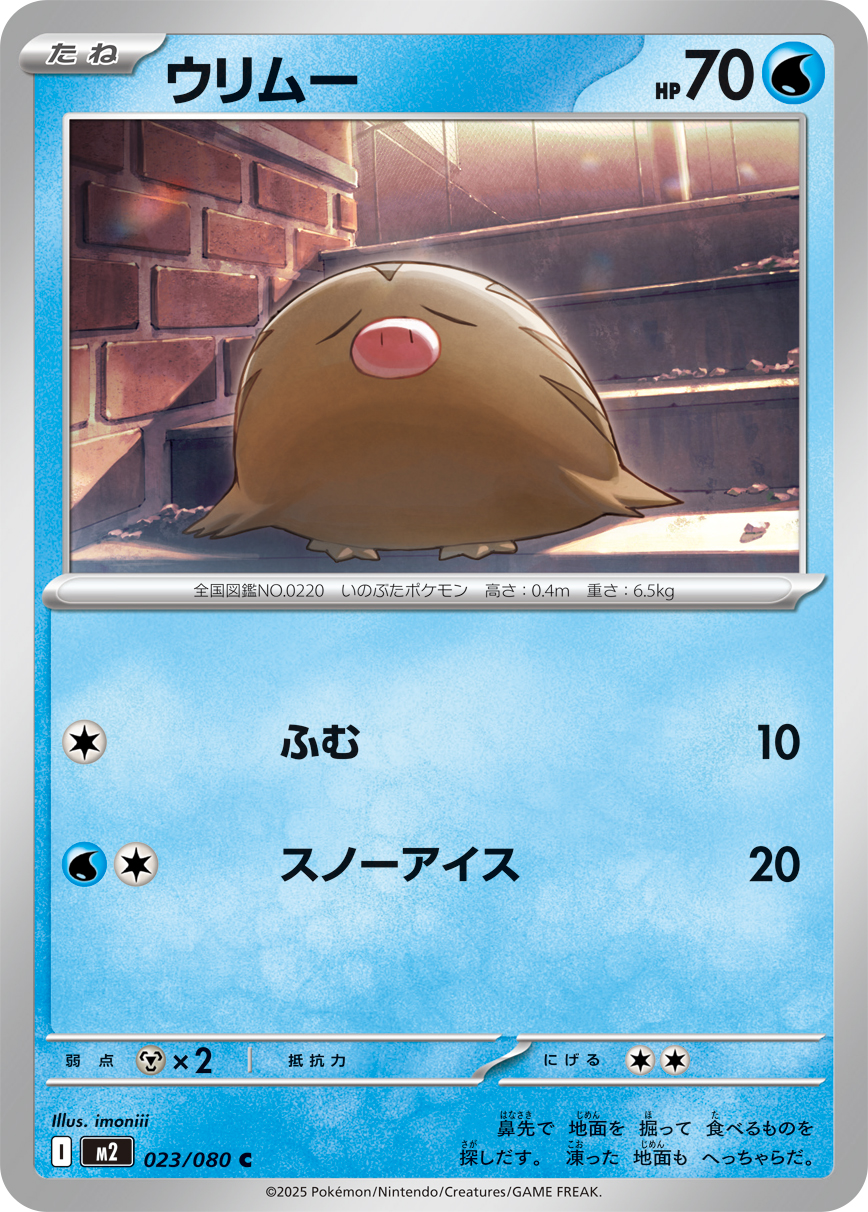 Swinub — M2: Inferno X #023/080