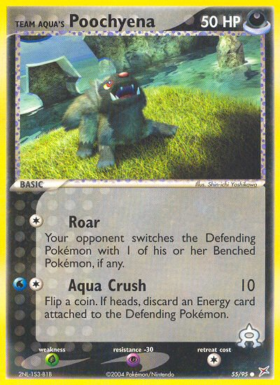 Team Aqua's Poochyena — Team Magma vs Team Aqua #55/95