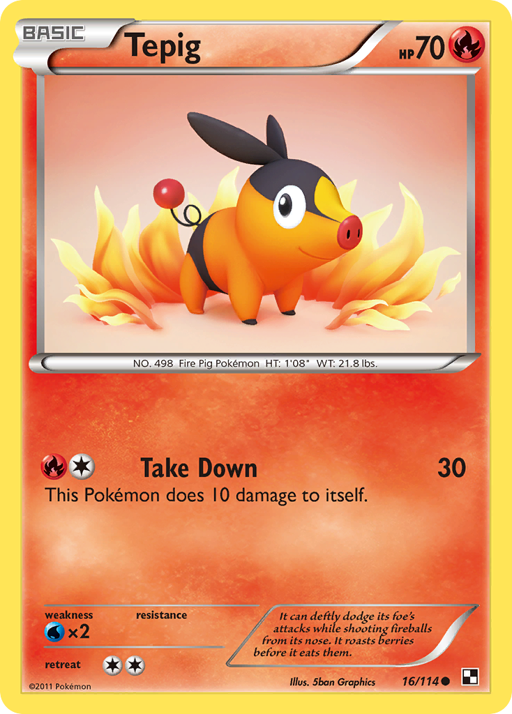 Tepig (16)