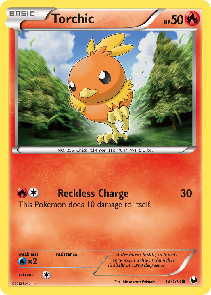 Torchic (14)