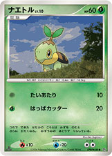 Turtwig