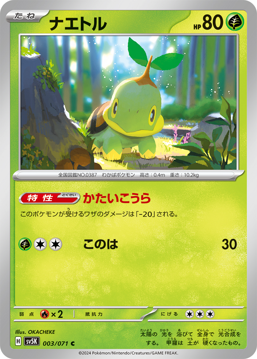 Turtwig — SV5K: Wild Force #003/071