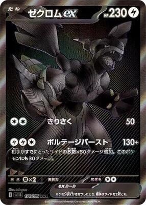 Zekrom ex